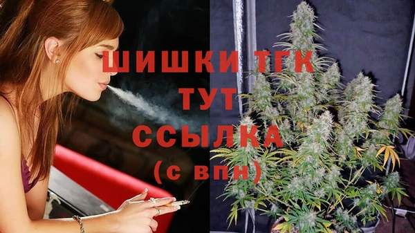 крисы Майский