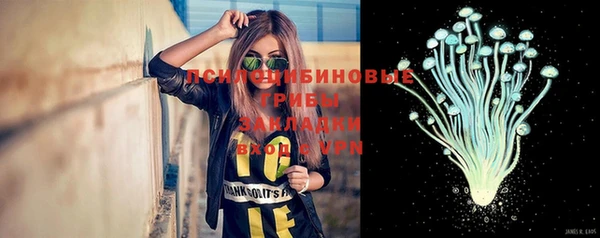 эйфоретик Магадан