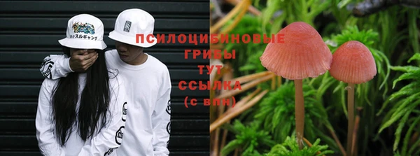 эйфоретик Магадан
