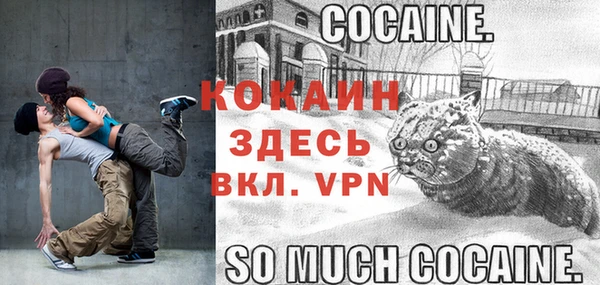 крисы Майский