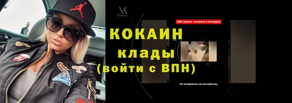 дживик Бородино