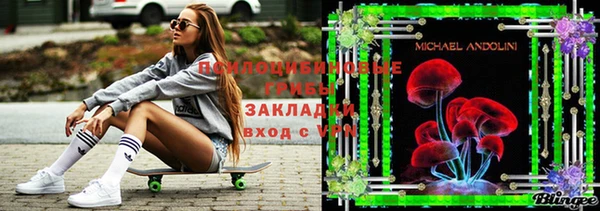 крисы Майский