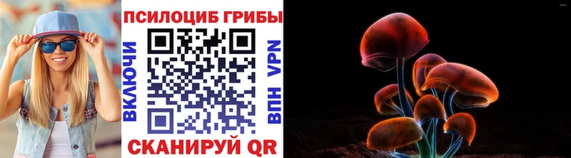 Галлюциногенные грибы мицелий  Чердынь 